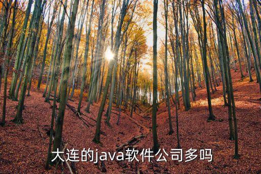  大連的java軟件公司多嗎