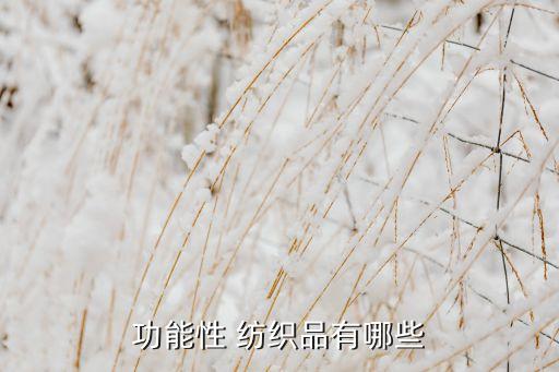 功能性 紡織品有哪些