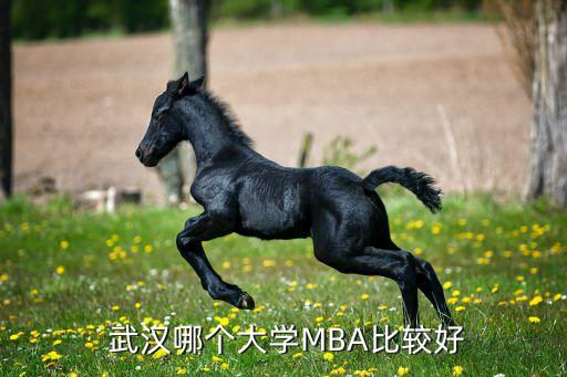 武漢紡織大管理學(xué)院