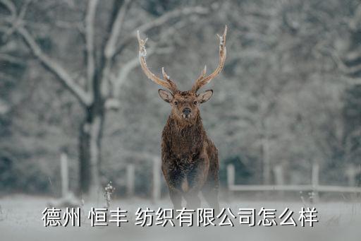 德州 恒豐 紡織有限公司怎么樣