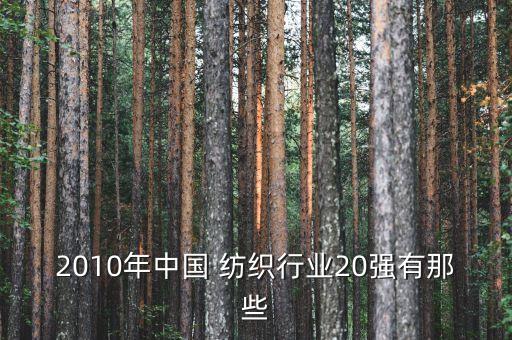 2010年中國 紡織行業(yè)20強有那些