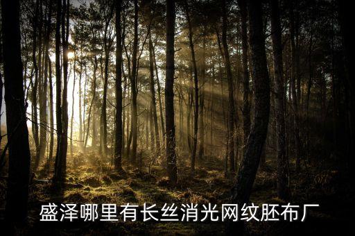  盛澤哪里有長絲消光網(wǎng)紋胚布廠