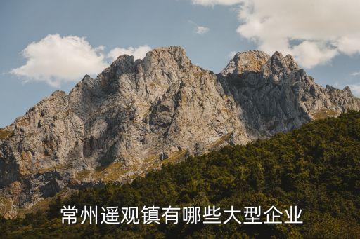  常州遙觀鎮(zhèn)有哪些大型企業(yè)