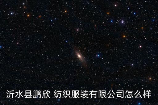 沂水縣鵬欣 紡織服裝有限公司怎么樣