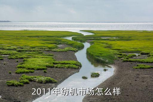 2011年紡機(jī)市場(chǎng)怎么樣