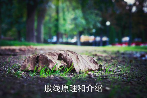 多股紗線面料價格怎么算