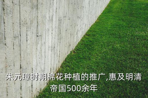 朱元璋時(shí)期棉花種植的推廣,惠及明清帝國(guó)500余年
