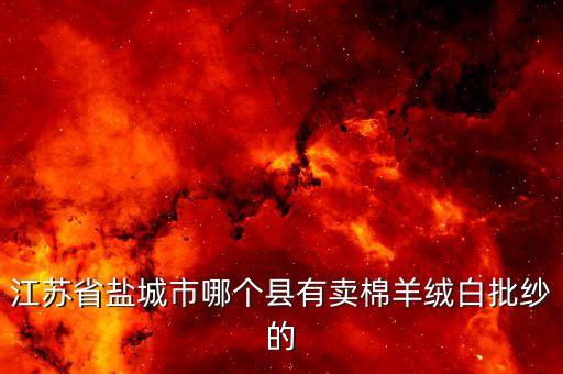 江蘇省鹽城市哪個(gè)縣有賣棉羊絨白批紗的