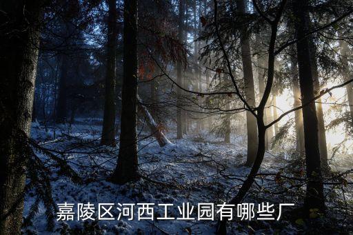 嘉陵區(qū)河西工業(yè)園有哪些廠