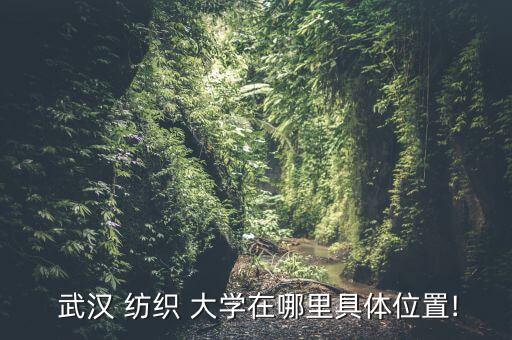  武漢 紡織 大學(xué)在哪里具體位置!
