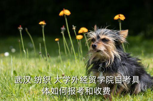  武漢 紡織 大學(xué)外經(jīng)貿(mào)學(xué)院自考具體如何報(bào)考和收費(fèi)