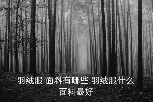  羽絨服 面料有哪些 羽絨服什么 面料最好