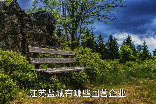 江蘇鹽城有哪些國(guó)營(yíng)企業(yè)