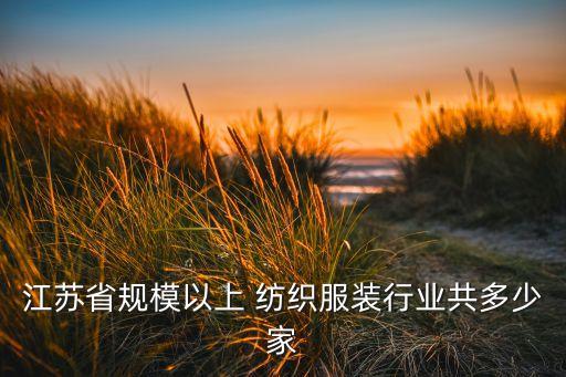 江蘇省規(guī)模以上 紡織服裝行業(yè)共多少家