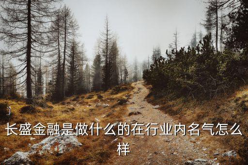 長盛金融是做什么的在行業(yè)內(nèi)名氣怎么樣
