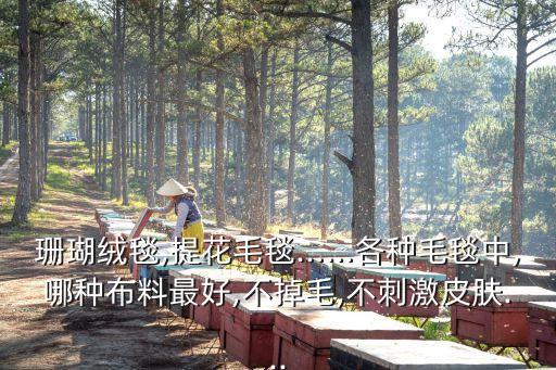 珊瑚絨毯,提花毛毯……各種毛毯中,哪種布料最好,不掉毛,不刺激皮膚...