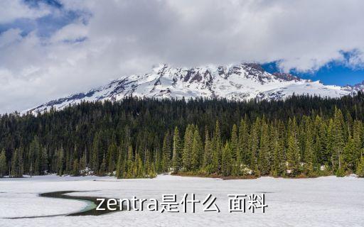 zentra是什么 面料