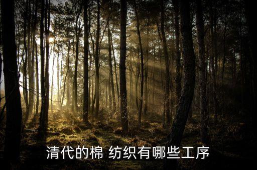 清代的棉 紡織有哪些工序
