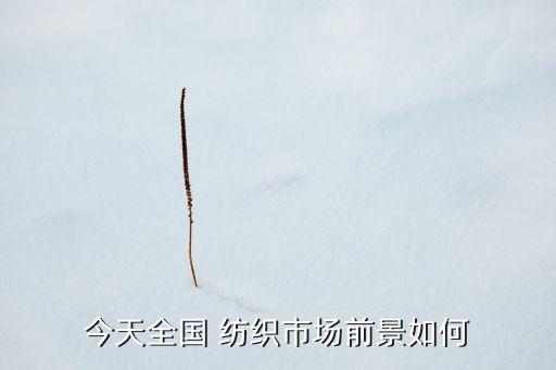 今天全國 紡織市場前景如何