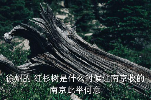 徐州的 紅杉樹是什么時候讓南京收的南京此舉何意