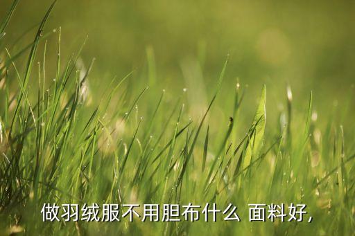 做羽絨服不用膽布什么 面料好,