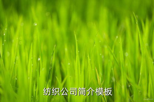 紡織公司簡(jiǎn)介模板