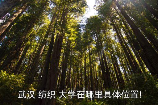 武漢紡織大學(xué)?？圃谀?/></a></span><span id=