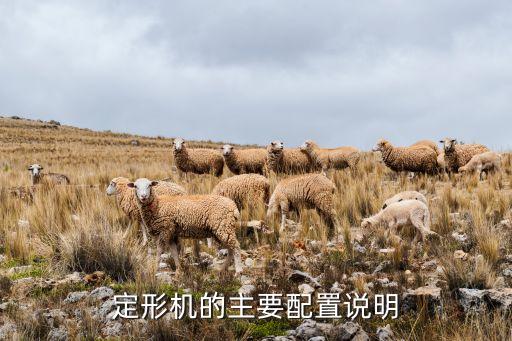 定形機(jī)的主要配置說(shuō)明