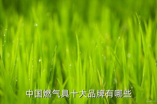中國燃?xì)饩呤笃放朴心男? class=