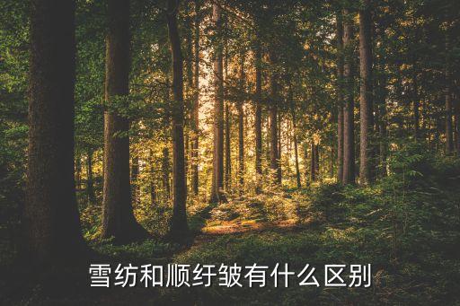 雪紡和順紆皺有什么區(qū)別