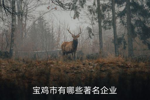 陜西寶成航空精密制造股份有限公司