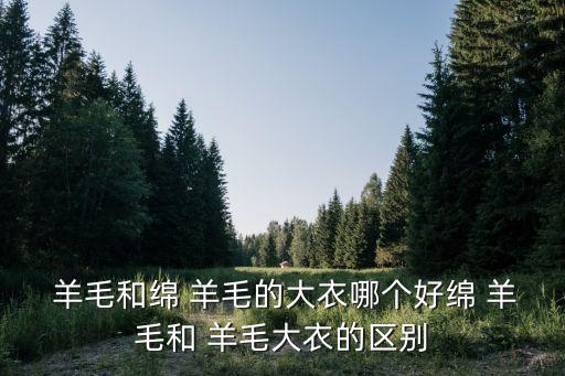優(yōu)質(zhì)羊毛尼面料批發(fā)