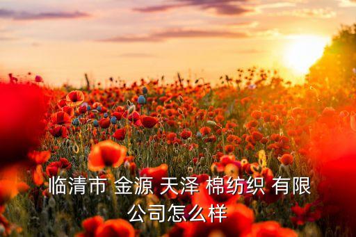 臨清市金源天澤棉紡織有限公司,金源天澤棉紡織有限公司 概況