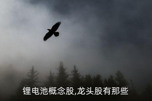 大連岸名宏豐印染有限公司
