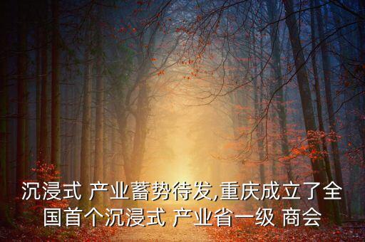 沉浸式 產(chǎn)業(yè)蓄勢(shì)待發(fā),重慶成立了全國(guó)首個(gè)沉浸式 產(chǎn)業(yè)省一級(jí) 商會(huì)