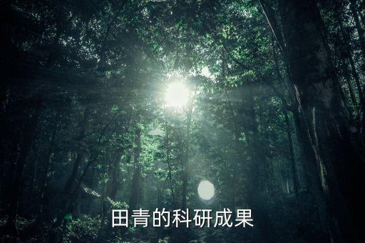 田青的科研成果