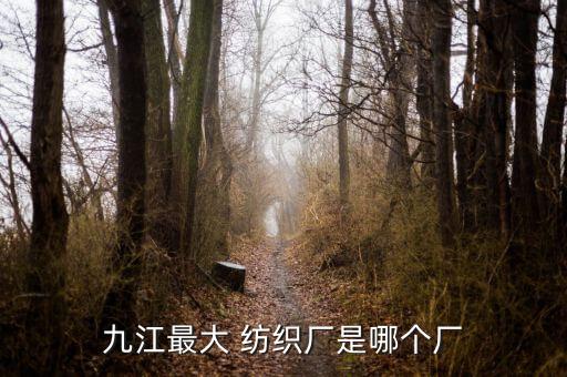 九江最大 紡織廠是哪個廠