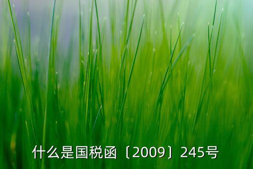 什么是國稅函〔2009〕245號
