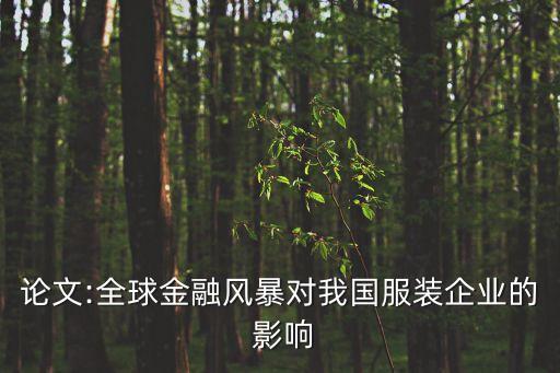 論文:全球金融風暴對我國服裝企業(yè)的 影響