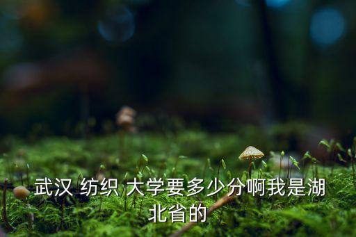  武漢 紡織 大學(xué)要多少分啊我是湖北省的