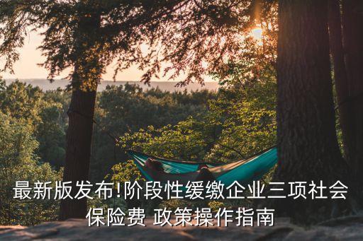 最新版發(fā)布!階段性緩繳企業(yè)三項社會保險費 政策操作指南