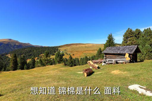 錦棉面料 比例,錦棉是什么面料優(yōu)缺點(diǎn)