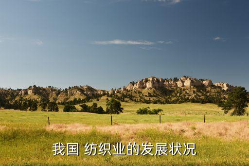 我國 紡織業(yè)的發(fā)展?fàn)顩r