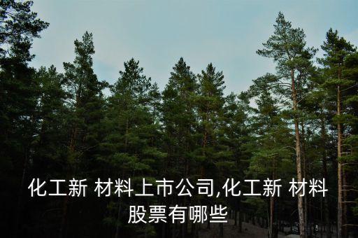 化工新 材料上市公司,化工新 材料股票有哪些