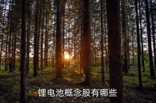 三元紡織有限公司,浙江三元紡織有限公司董事長