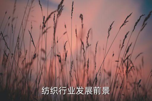 紡織行業(yè)發(fā)展前景