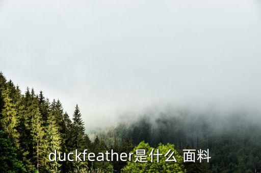 duckfeather是什么 面料