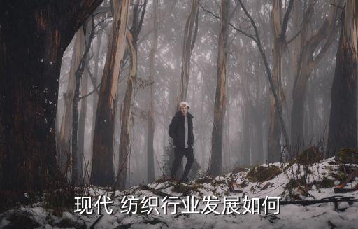 現(xiàn)代 紡織行業(yè)發(fā)展如何