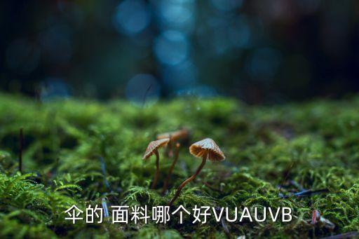 傘的 面料哪個好VUAUVB