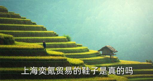  上海奕氪貿(mào)易的鞋子是真的嗎